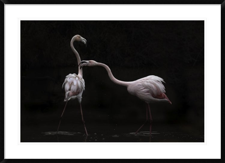 "Not All Is Rosy" Framed Digital Print by Martine Benezech, 44x32"