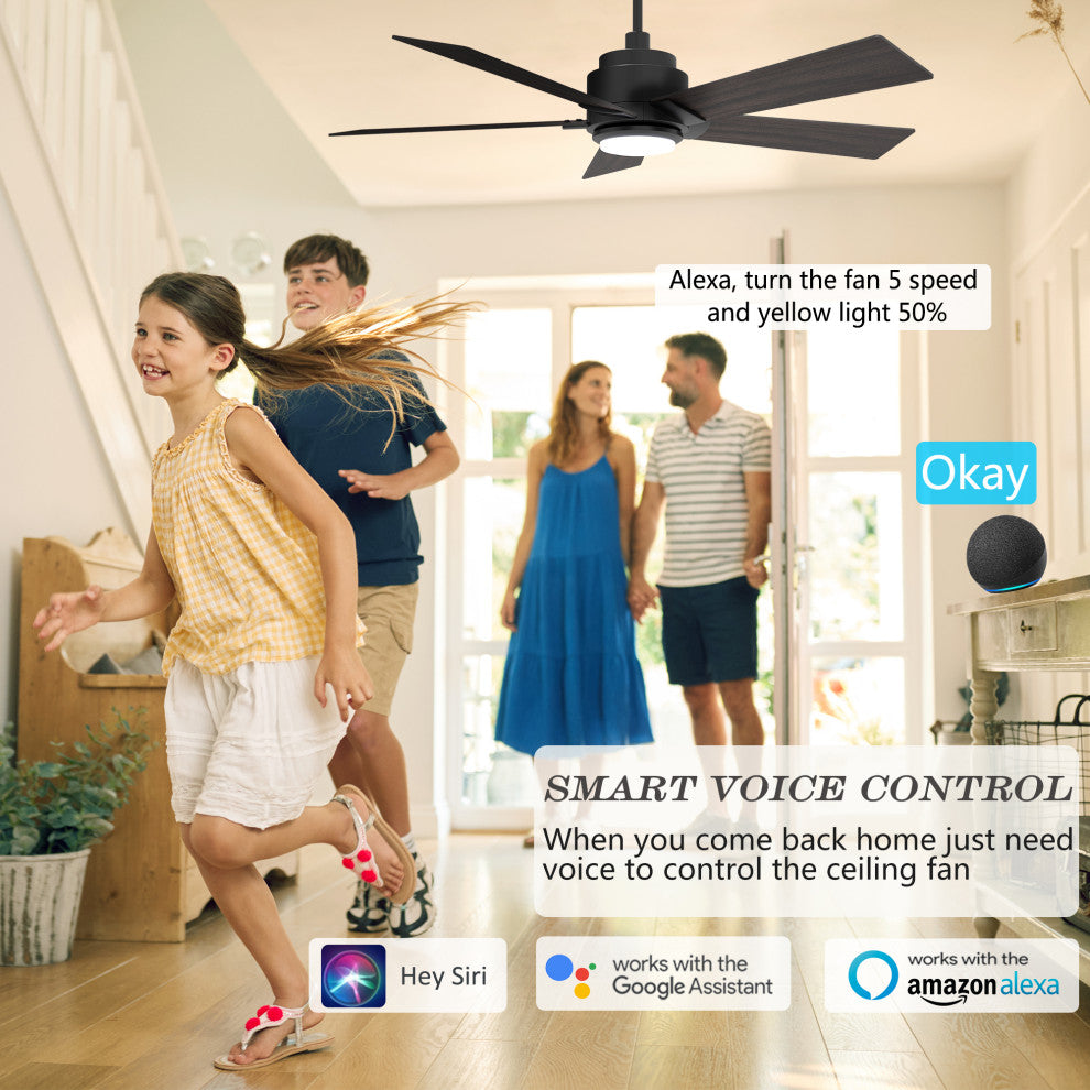 CARRO 52'' 5 Blades Smart Ceiling Fan with Remote Control and Dim LED Light, Black
