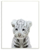Cute Baby White Tiger Animal Kids Painting, 10"x15"