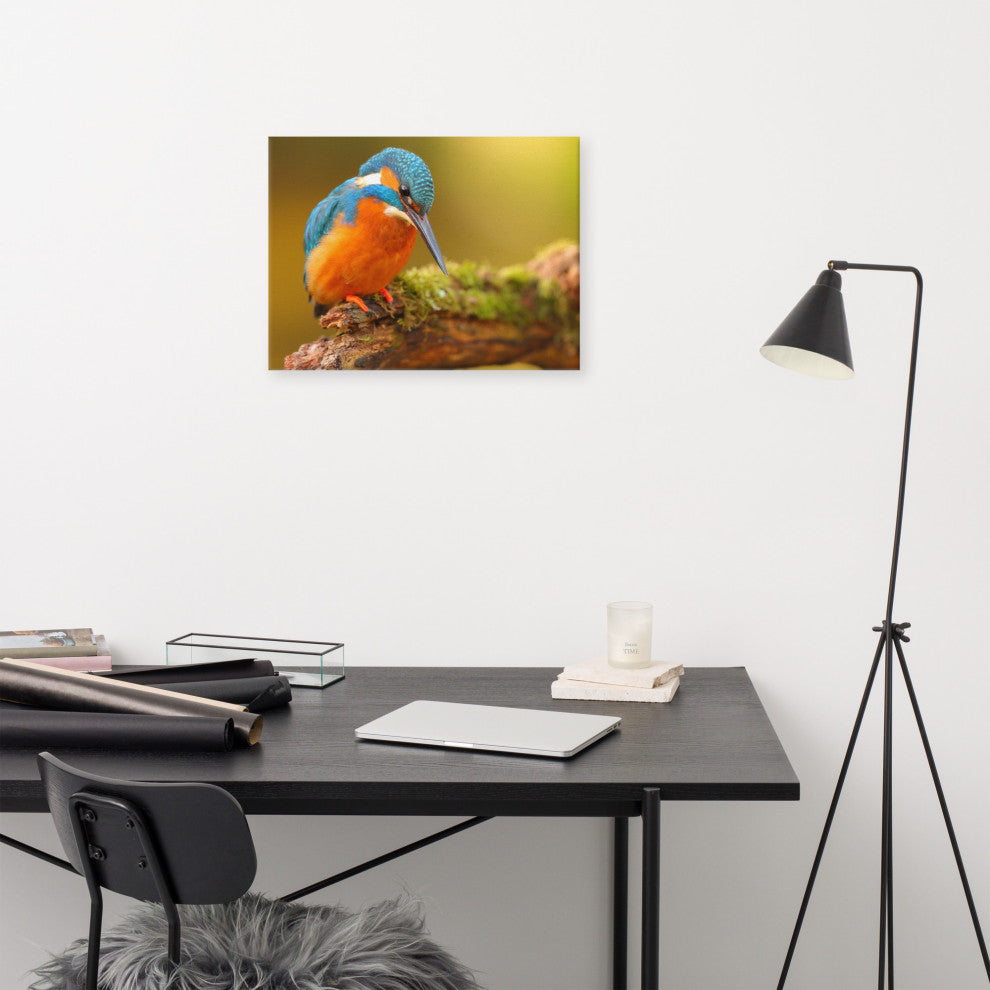 Kingfisher Bird on Perch 2 Animal Wildlife Photo Canvas Wall Art Prints, 18" X 24"