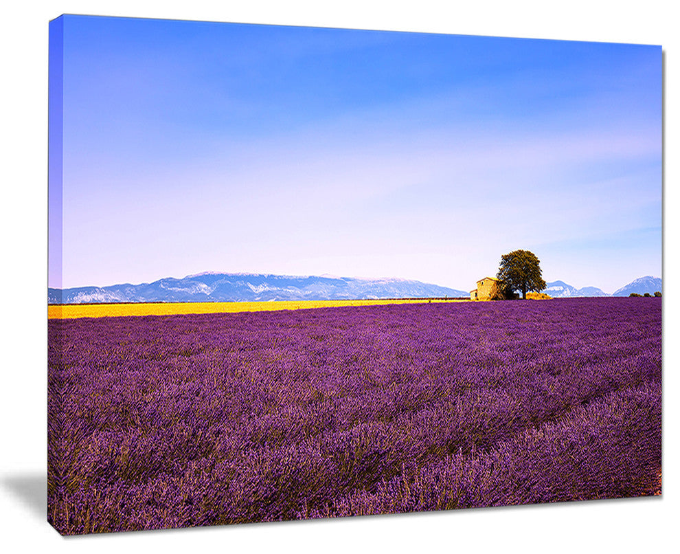 "Lavender Flowers With Old House" Landscape Wall Art Print, 20"x12"