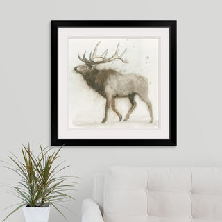 "Elk" Black Framed Art Print, 28"x28"x1"