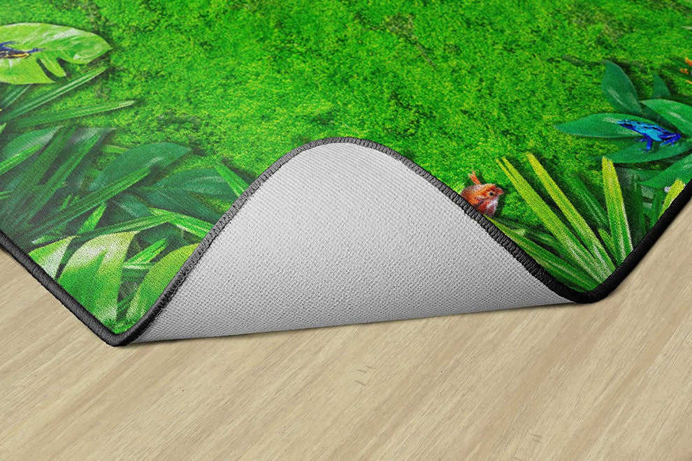 Flagship Carpets VA1013-58FS 10'6"X13'2" Rainforest Frogs Educational Rug