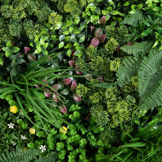 Shows multiple color variations / different leaf textures (color/variant of the product).