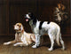 Alexander Pope A Pair of Setters, 21"x28" Wall Decal
