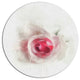 White Rose With Pink Petals, Floral Large Disc Metal Wall Art, 11"