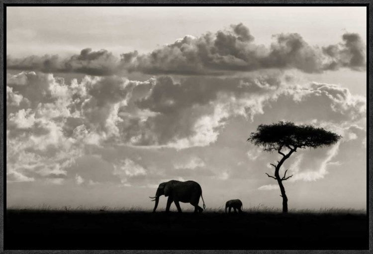 "Silhouettes Of Mara" Framed Canvas Giclee by Mario Moreno, 23x16"
