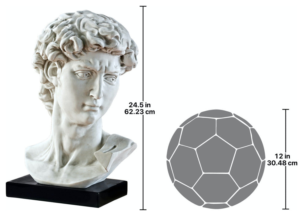 Bust of Michelangelo''s David Statue