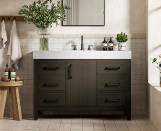 Home Living 48" Single Bathroom Vanity, Mocha Brown