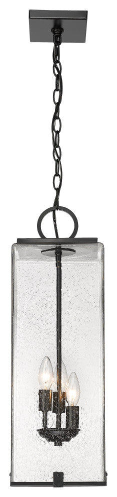 Zlite 592CHB-BK 3-Light Outdoor Chain Mount Ceiling Fixture, Seedy