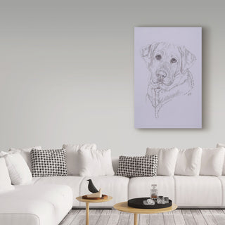 "Labrador Illustration" by Barbara Keith, Canvas Art