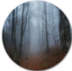 Autumn Rainy Forest In Crimea, Landscape Photo Round Metal Artwork, 23"