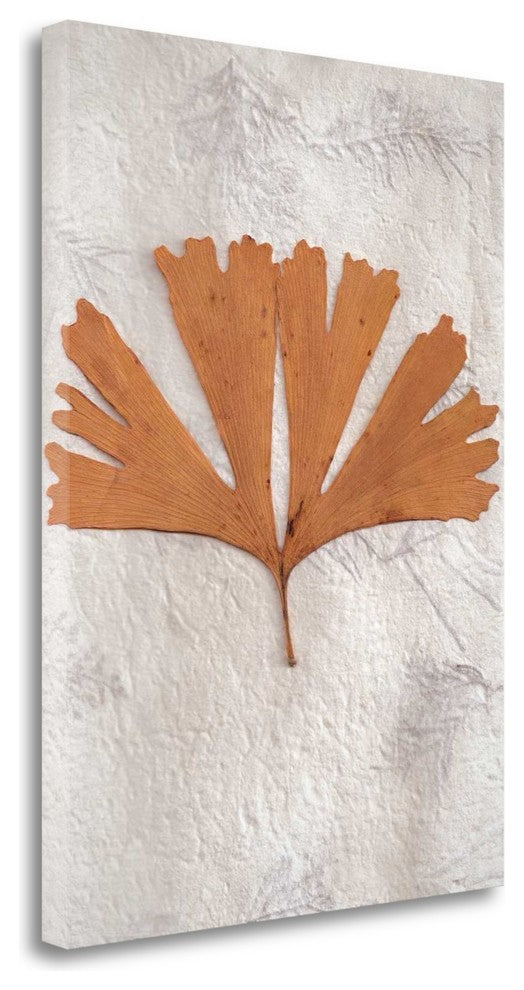 "Floral - 30" By Alan Blaustein, Giclee Print on Gallery Wrap Canvas
