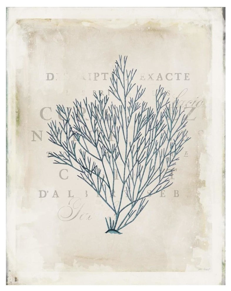 "Sea Garden II" Digital Paper Print by Katie Pertiet, 22"x26"