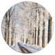Beautiful Winter Lane At Morning, Forest Round Metal Wall Art, 11"