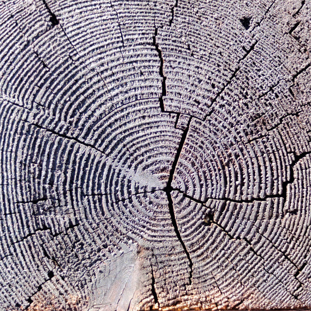 Age Of Time 2 Fine Art Giant Canvas Print 54"X54"