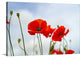 "Simplicity" Wrapped Canvas Art Print, 48"x32"x1.5"