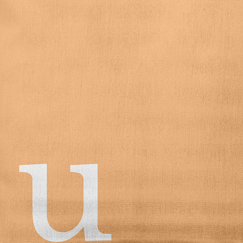 18"x18" Modern Monogram Decorative Throw Pillow, Pale Gold