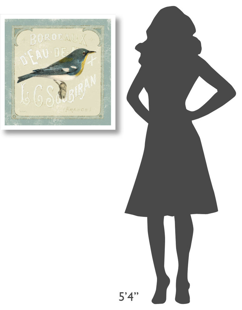 "Parisian Bird I" Digital Paper Print by Sue Schlabach, 26"x26"