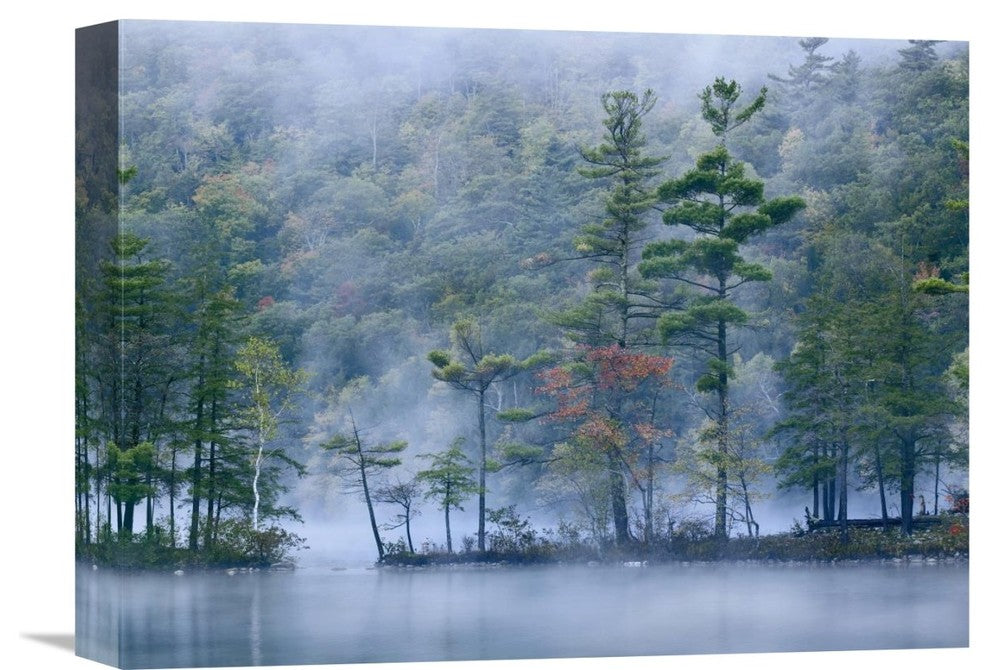 "Emerald Lake In Fog, Emerald Lake State Park, Vermont" Artwork, 16" x 12"