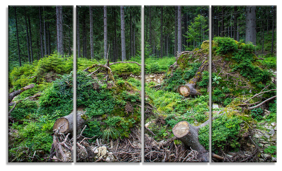 "Wild Deep Forest Rocks and Hills" Landscape Art Print Canvas, 4 Panels, 48"x28"