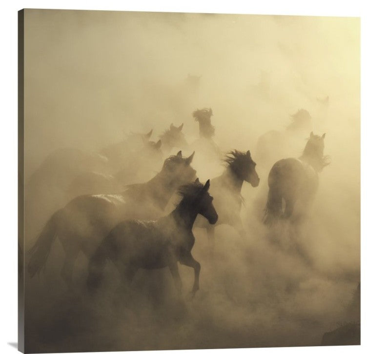 "Migration Of Horses" Stretched Canvas Giclee by Huseyin Taskin, 30x30"