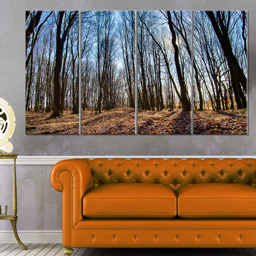 Dark Trees in Forest at Sunrise, Forest Canvas Art Print, 48"x28", 4 Panels