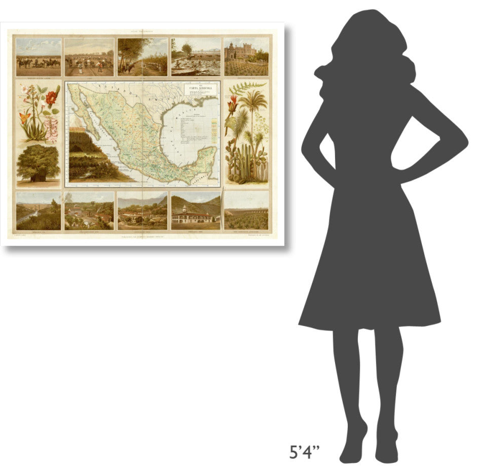 "Carta Agricola, 1885" Digital Paper Print by Antonio Garcia Cubas, 42"x33"