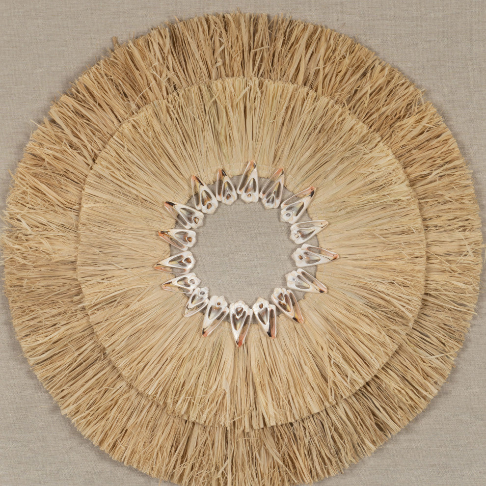 HUJI Weed & Papier-mÃ¢chÃ© Shadow Box Wall DÃ©cor, Huji Weed & Sea Shell Shadow Box