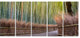 "Pathway Inside Bamboo Forest" Forest Canvas Wall Art Print, 5 Panels, 60"x28"