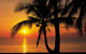 Palm Beach Sunrise Mural 8-255