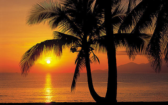 Palm Beach Sunrise Mural 8-255