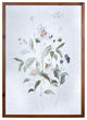 Wildflower Leaf II Framed Wall Art