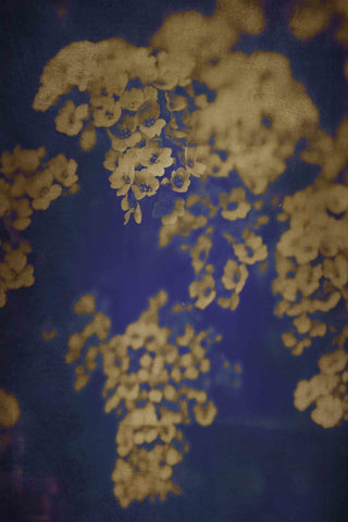 "Dawn B" Painting Print on Canvas by Jorgensen