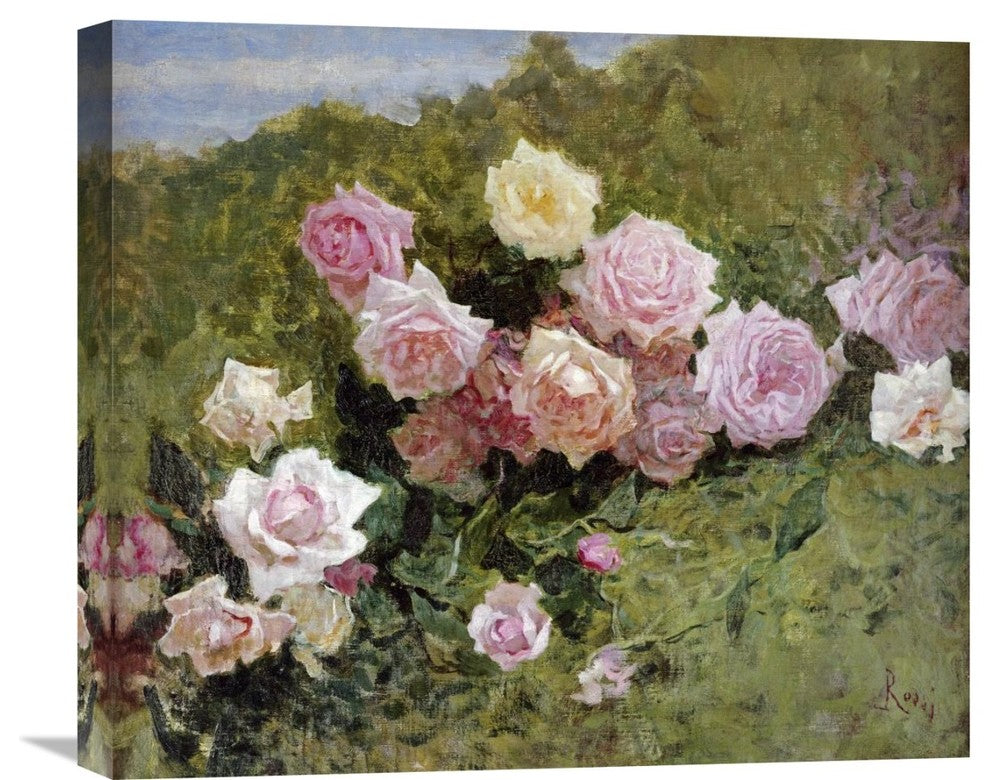 "A Study of Roses" Artwork, 22" x 19"