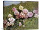 "A Study of Roses" Artwork, 22" x 19"
