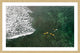 "Yellow Boats" Framed Print by Karolis Janulis