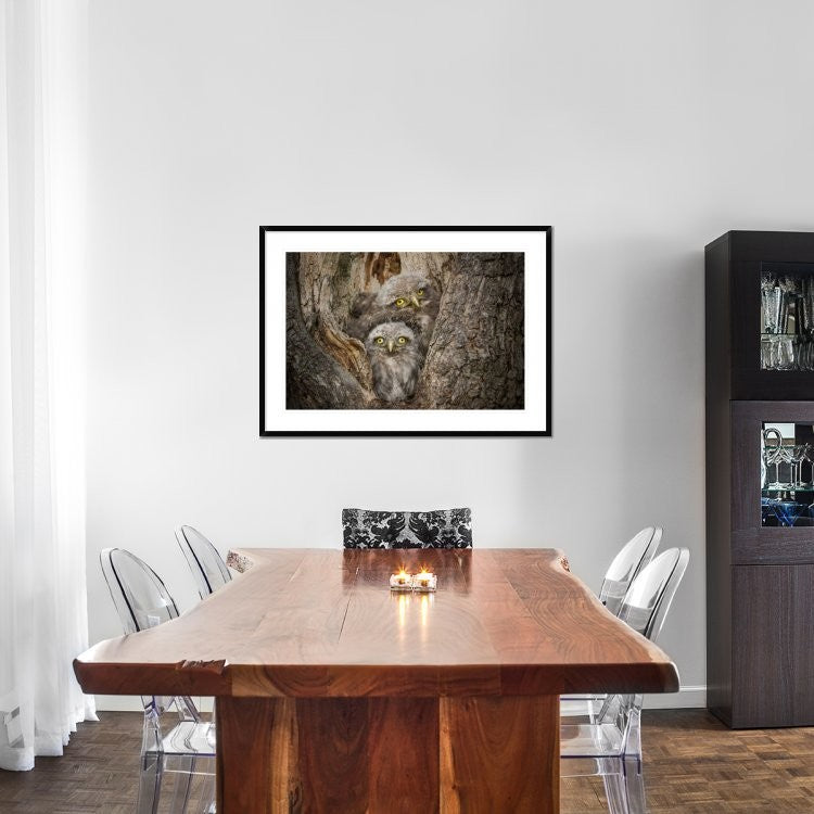"Civ and Civ" Framed Digital Print by Ghizzi Panizza Alberto, 44x32"