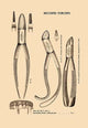Bicuspid Forceps - Canvas Poster 20" x 30"