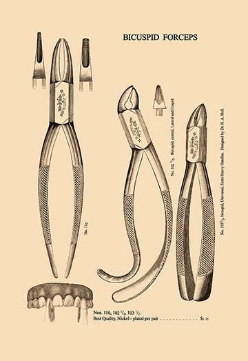 Bicuspid Forceps - Canvas Poster 20" x 30"