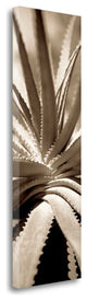 "Florison - 77" By Alan Blaustein, Giclee Print on Gallery Wrap Canvas