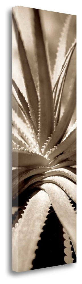 "Florison - 77" By Alan Blaustein, Giclee Print on Gallery Wrap Canvas