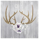 "Antlers and Poppies II Sq" Digital Paper Print by Elyse DeNeige, 26"x26"