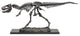 Fierce Tyrannosaurus Rex Skeleton