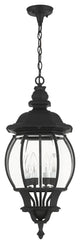 Textured Black Traditional, Colonial, French Historical, Outdoor Pendant Lantern