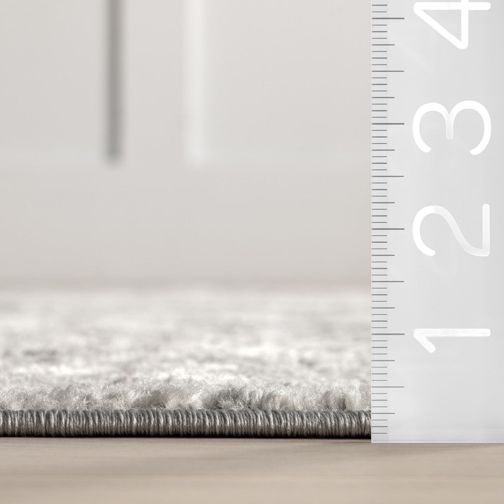 Nuloom Machine Made Transitional Mist Shades Rug, Grey 4'x6'