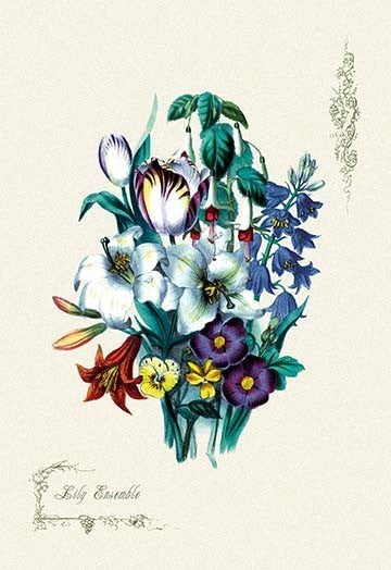 Lily Ensemble - Canvas Poster 20" x 30"