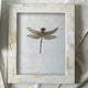 Tozai Pearly White 8"x10" Photo Frame in Gift Box