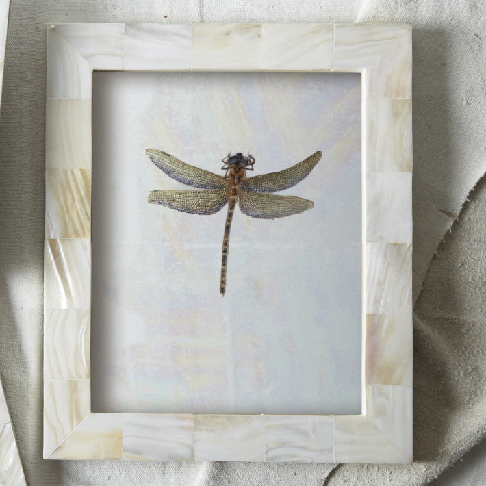 Tozai Pearly White 8"x10" Photo Frame in Gift Box