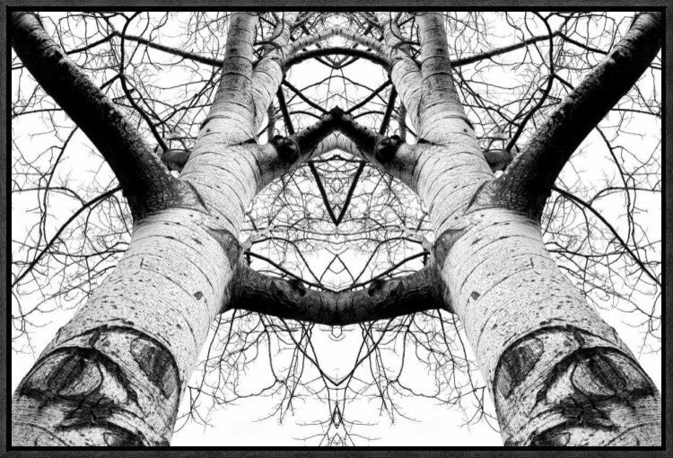 "Aspen Cathedral" Framed Canvas Giclee by James K. Papp, 23x16"